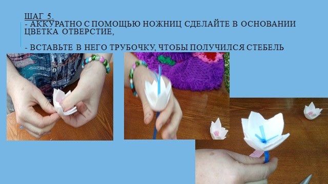 71116