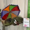 Всероссийский конкурс «Богата осень вдохновением»