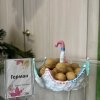 Всероссийский конкурс «Богата осень вдохновением»