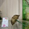 Всероссийский конкурс «Богата осень вдохновением»