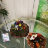 Всероссийский конкурс «Богата осень вдохновением»