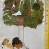 Всероссийский конкурс «Богата осень вдохновением»