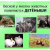 Всероссийский творческий конкурс «День воспитателя»