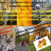 Всероссийский творческий конкурс "Как прекрасна эта осень!"
