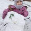 Всероссийский конкурс "На пороге зимушка-зима"