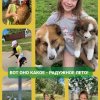 Всероссийский конкурс "Наше лето - радужного цвета"