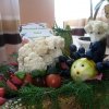 Всероссийский творческий конкурс «По земле шагает осень»