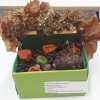 Всероссийский творческий конкурс «По земле шагает осень»