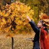 Всероссийский творческий конкурс «По земле шагает осень»