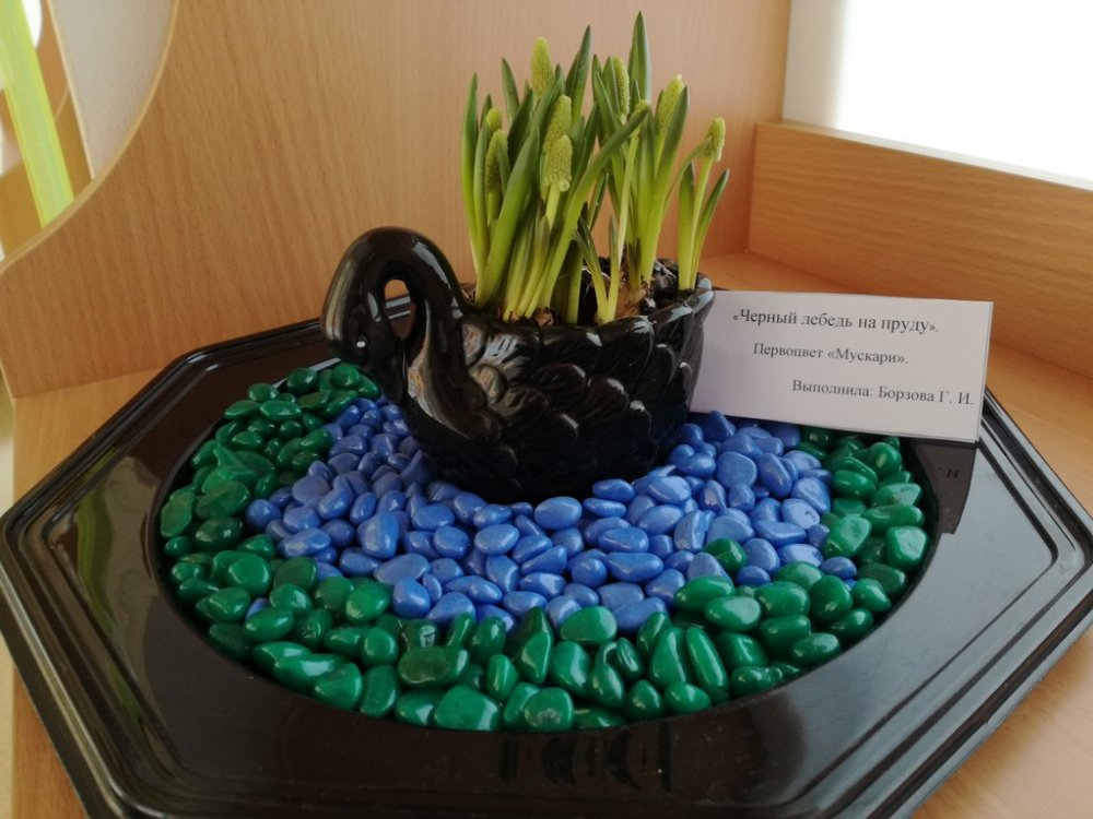 Всероссийский творческий конкурс «Прекрасный день весны»