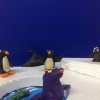 Всероссийский творческий конкурс «В объятиях снежной Зимы...»
