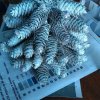 Всероссийский творческий конкурс «В объятиях снежной Зимы...»