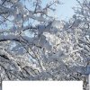 Всероссийский творческий конкурс «В объятиях снежной Зимы...»