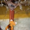 Всероссийский творческий конкурс «В объятиях снежной Зимы...»