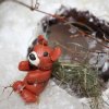 Всероссийский творческий конкурс «В объятиях снежной Зимы...»