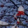 Всероссийский творческий конкурс «В объятиях снежной Зимы...»