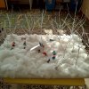 Всероссийский творческий конкурс «В объятиях снежной Зимы...»