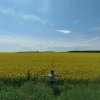Всероссийский творческий конкурс "В гостях у Лета"