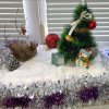 Всероссийский конкурс «Волшебство зимы»