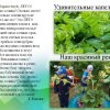 Всероссийский творческий конкурс «Здравствуй, Лето!»
